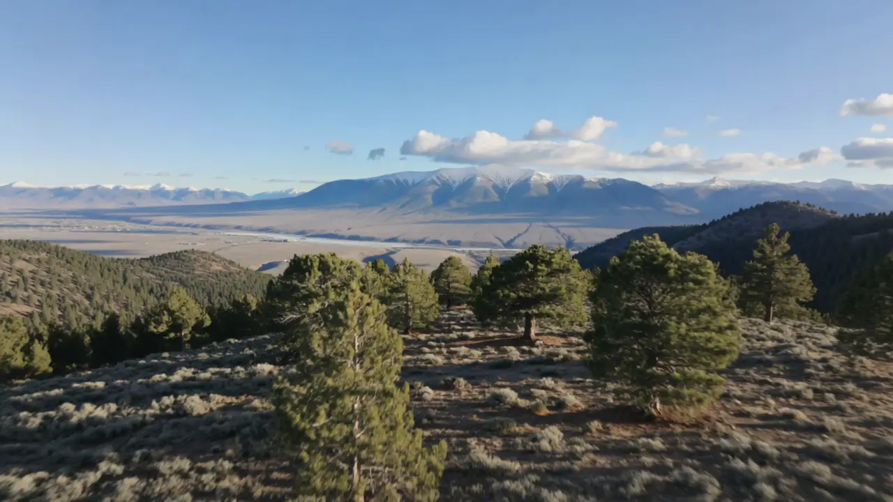 A high plateau of juniper and pine with a distant mountain range